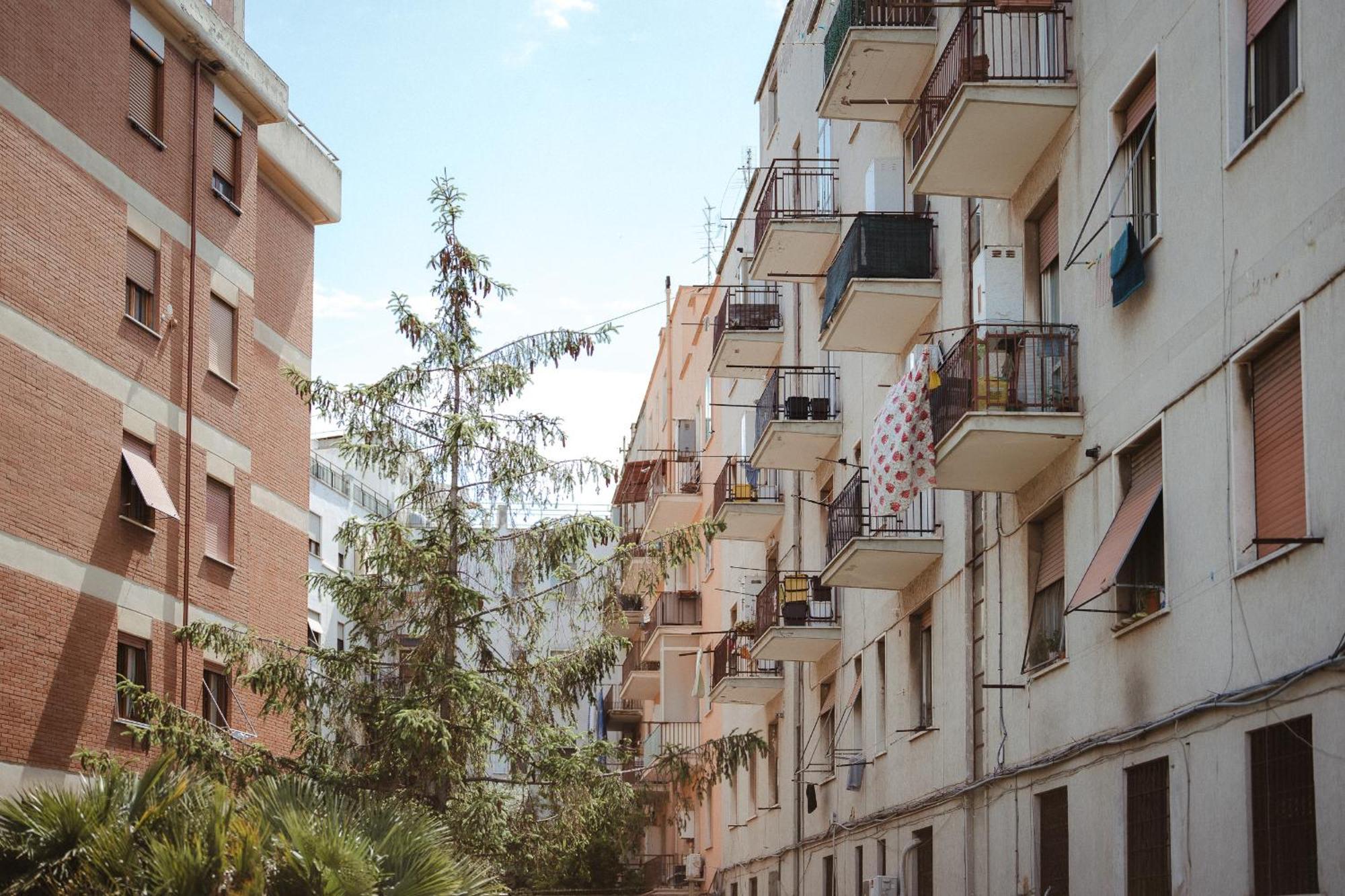 La Casetta Al Mercato Civitavecchia Cameră foto